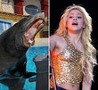 ¡¡Shakira fue atacada por un león marino!!